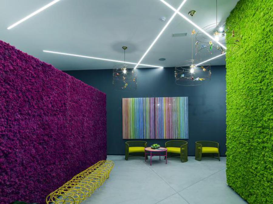 farbige Mooswand, Mooswand München, Moos Büro, Grüne Wand, Pflanzenwand, Moosbild Büro, buntes Moos